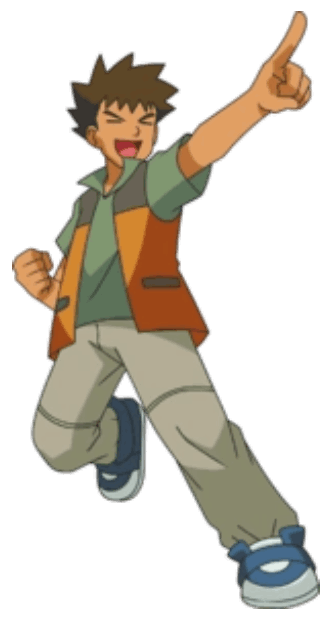 Brock - Rock Type Pokemon